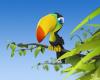 funny 3d wallpapers (7)